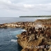 nusalavu_h_0705_2411.jpg